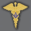 Masonic Physician